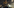 Activision Finally Addresses Call of Duty Black Ops 6 and Warzone Cheating
